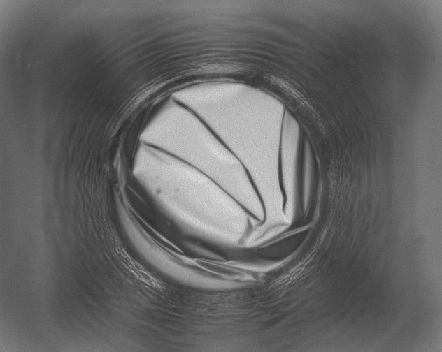 X0000052951025200507300040