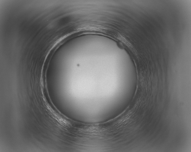 X0000052951028200507300040