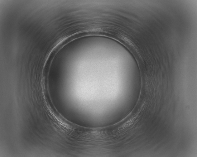 X0000052951029200507300040