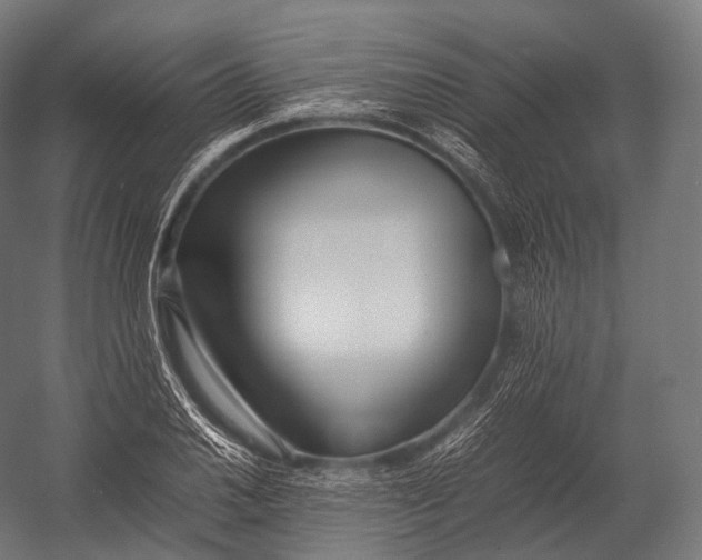 X0000052951030200507300040