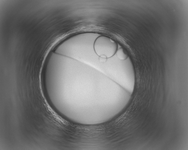X0000052951032200507300040