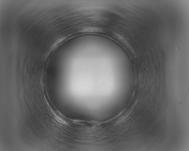X0000052951033200507300040