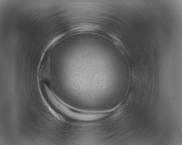 X0000052951034200507300040