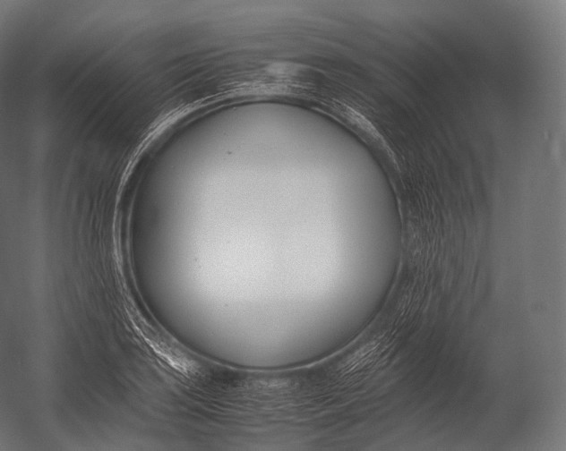 X0000052951035200507300040