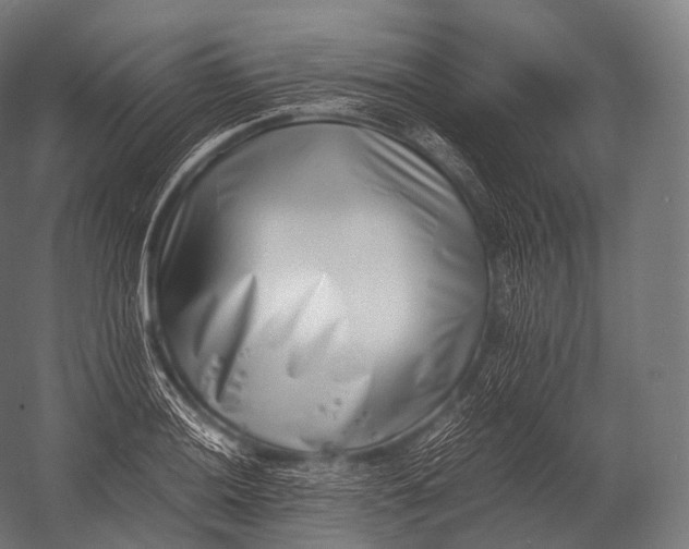 X0000052951036200507300040