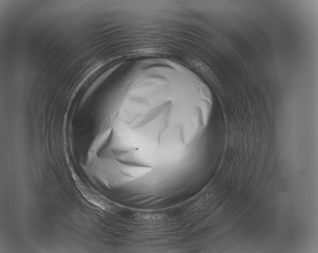 X0000052951039200507300040