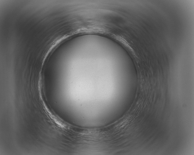 X0000052951040200507300040