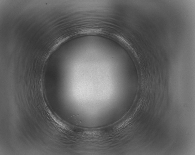 X0000052951041200507300040
