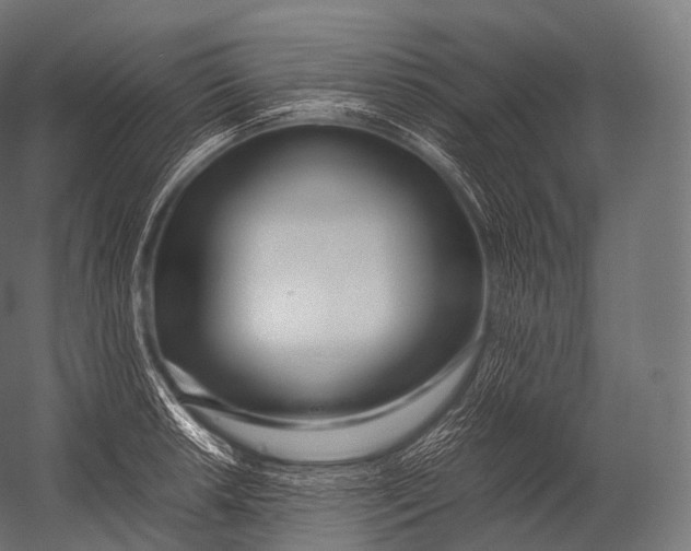 X0000052951042200507300040