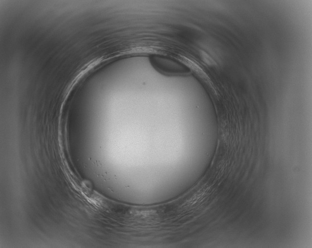 X0000052951043200507300040