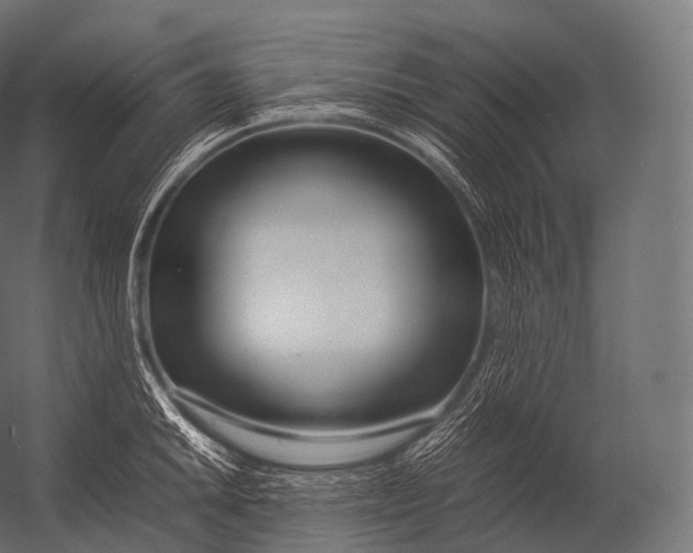 X0000052951046200507300040
