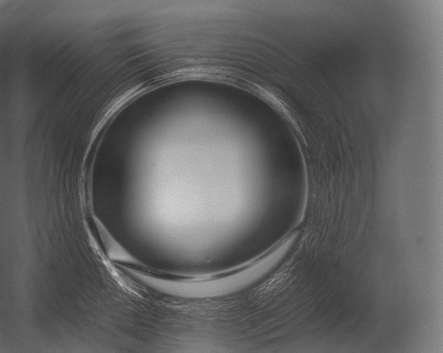 X0000052951050200507300040
