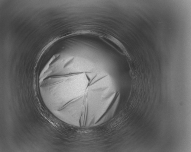 X0000052951051200507300040