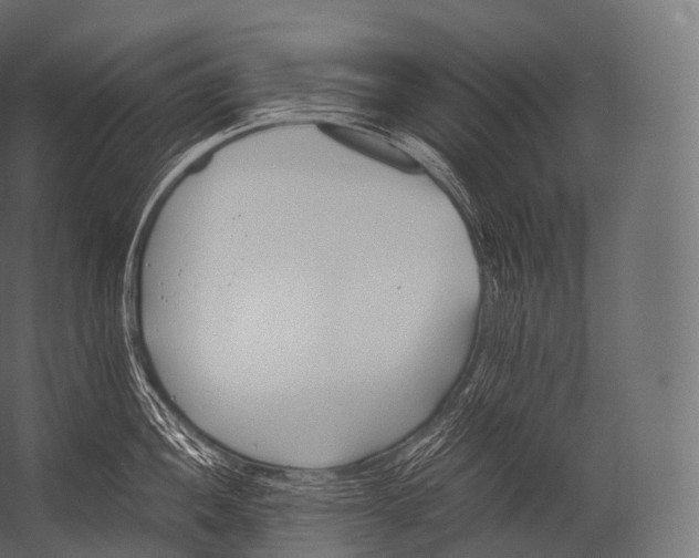 X0000052951052200507300040