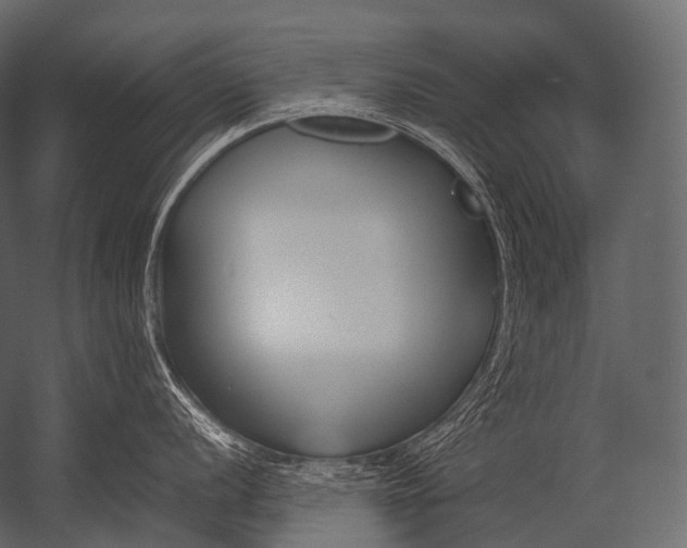 X0000052951056200507300040