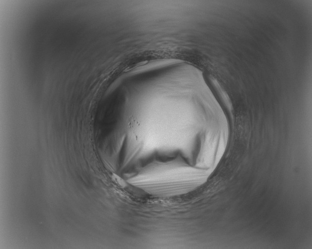 X0000052951057200507300039