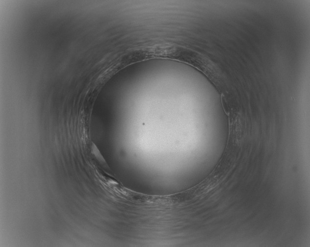 X0000052951058200507300039