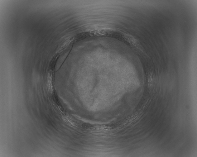 X0000052951060200507300039