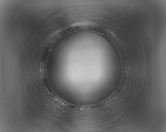 X0000052951062200507300039