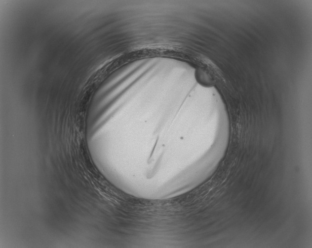 X0000052951064200507300039