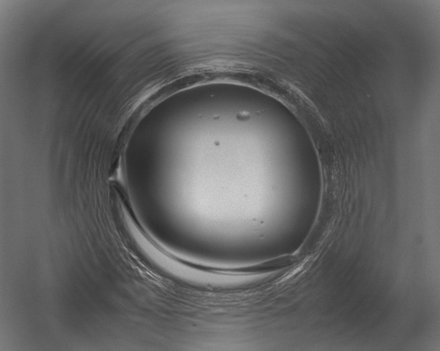X0000052951065200507300039