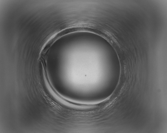 X0000052951069200507300039
