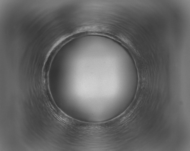 X0000052951070200507300039