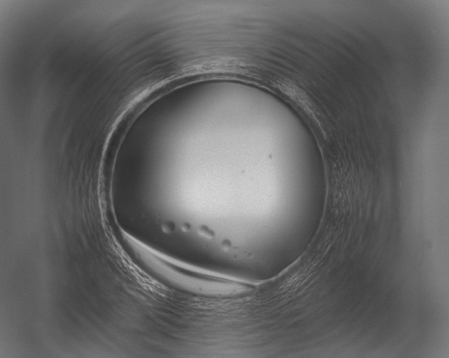 X0000052951072200507300039