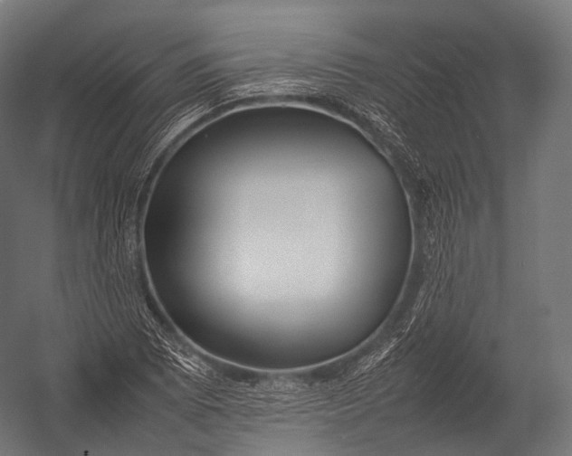 X0000052951073200507300039