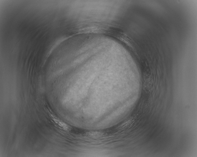X0000052951075200507300039