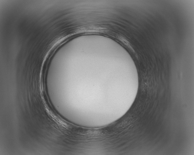X0000052951080200507300039