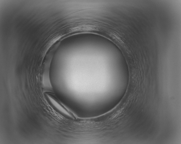 X0000052951081200507300039