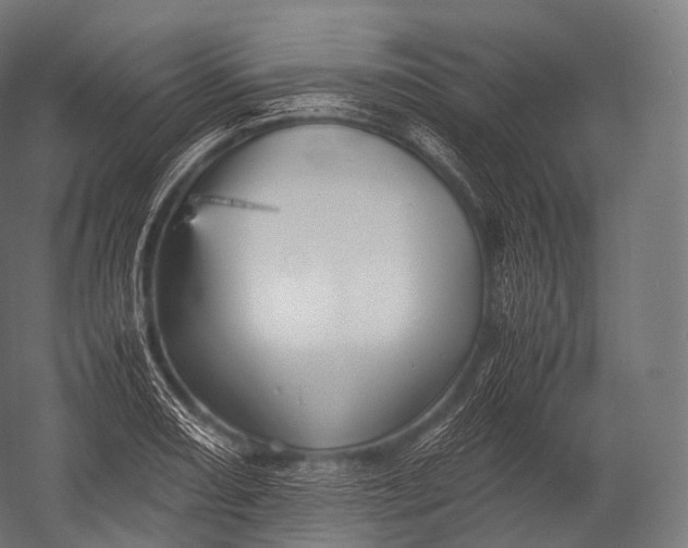 X0000052951082200507300039