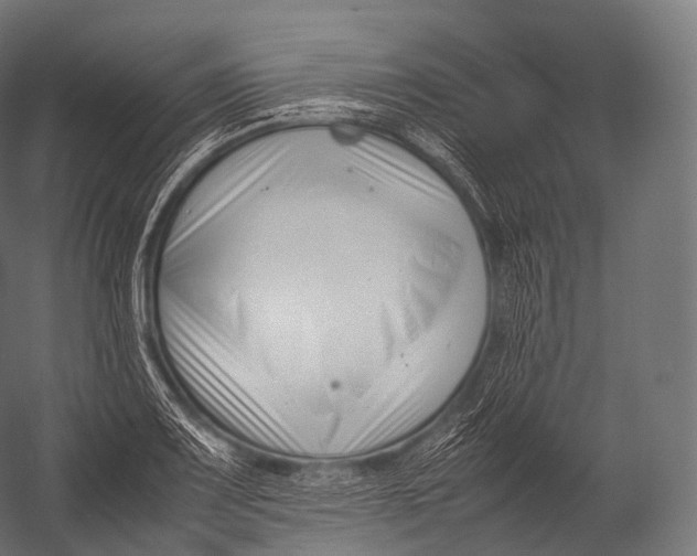 X0000052951083200507300039