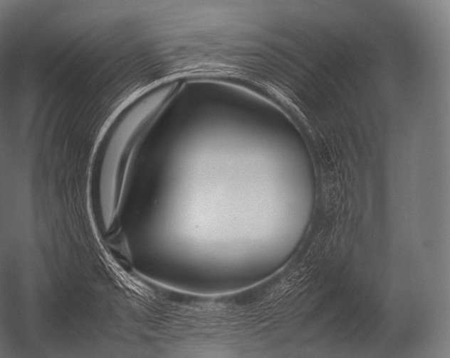 X0000052951085200507300039