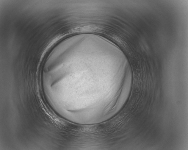 X0000052951086200507300039