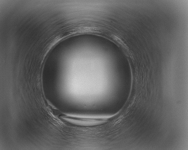 X0000052951089200507300039