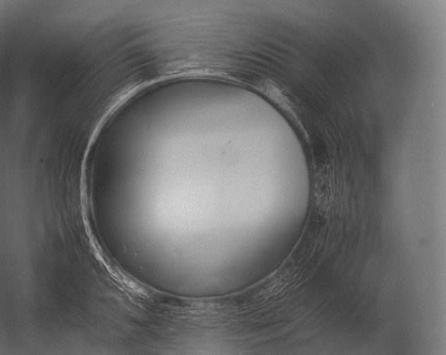 X0000052951096200507300039