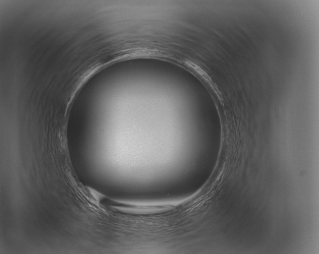X0000052951097200507300039