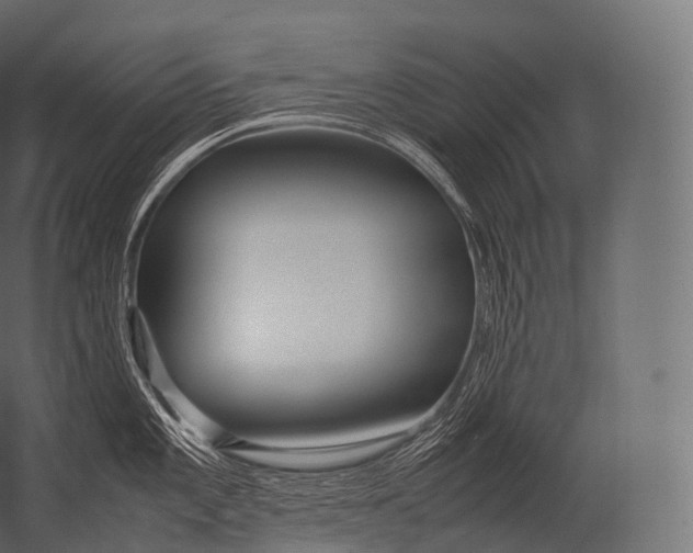 X0000052951101200507300038