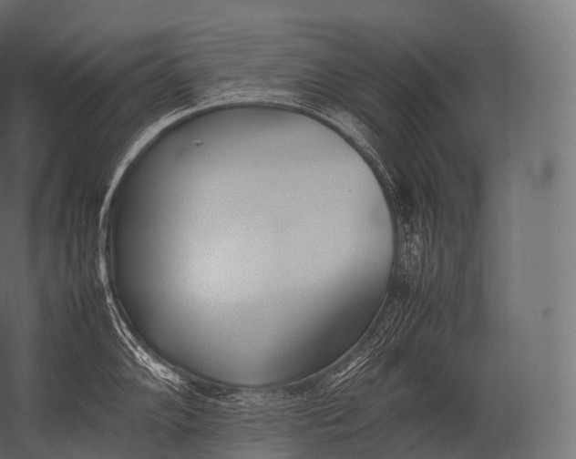 X0000052951102200507300038
