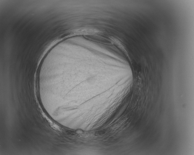X0000052951103200507300038