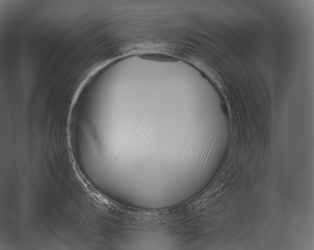 X0000052951104200507300038