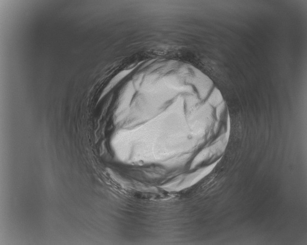 X0000052951105200507300038