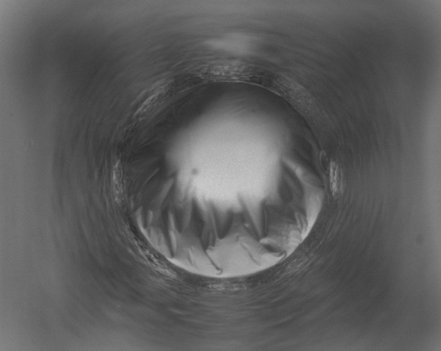 X0000052951107200507300038