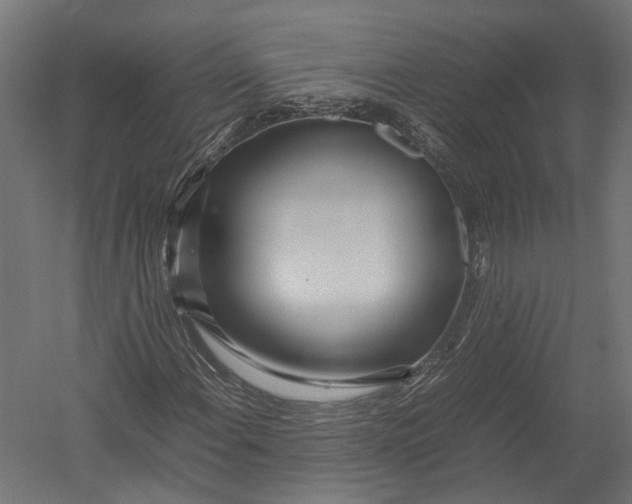 X0000052951108200507300038