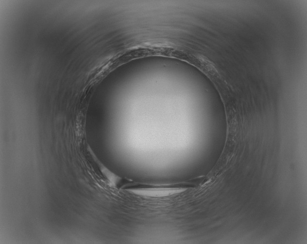 X0000052951110200507300038