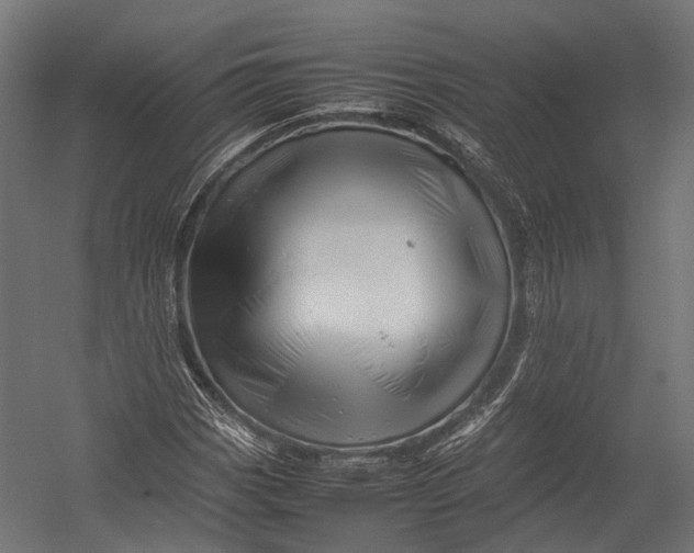 X0000052951113200507300038