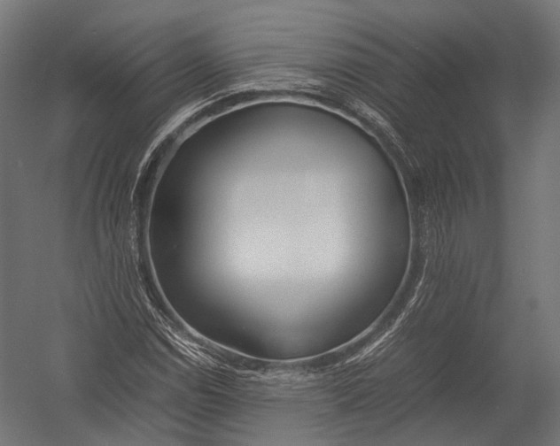 X0000052951114200507300038
