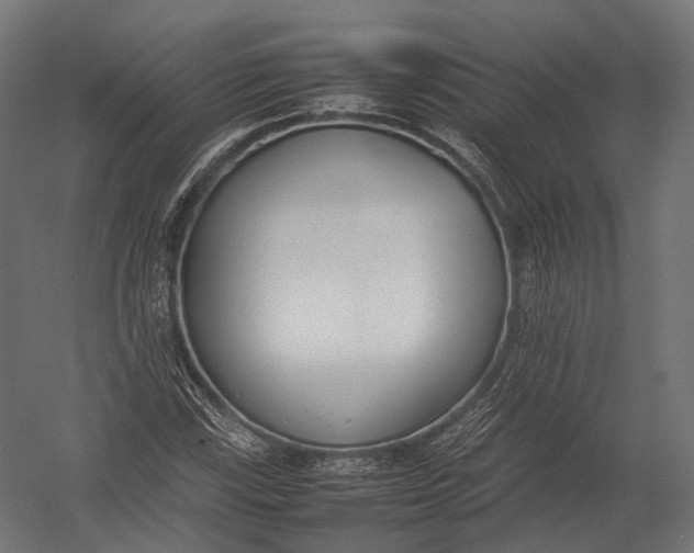 X0000052951115200507300038